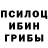 Псилоцибиновые грибы GOLDEN TEACHER Ivanna Ivannikova
