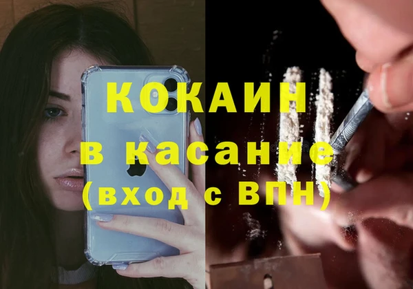сатива Осташков