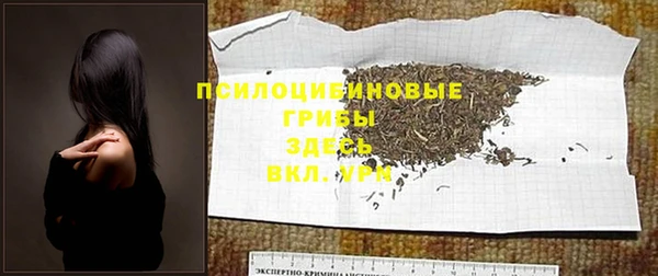 mdma Осинники