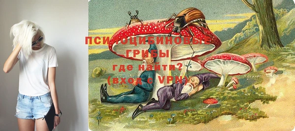 таблы Няндома