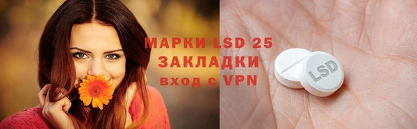 сатива Осташков
