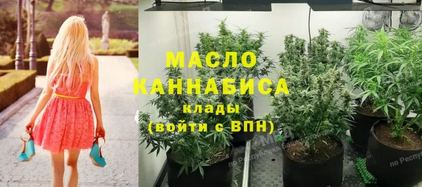 сатива Осташков