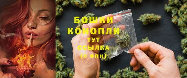 сатива Осташков