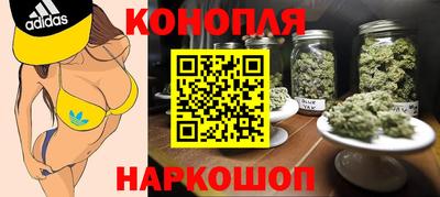 молекула духа Заводоуковск