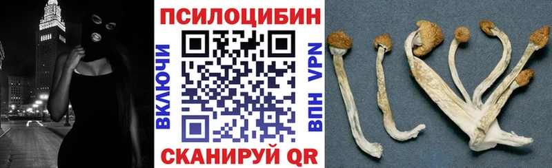 Галлюциногенные грибы ЛСД  darknet как зайти  Рассказово 