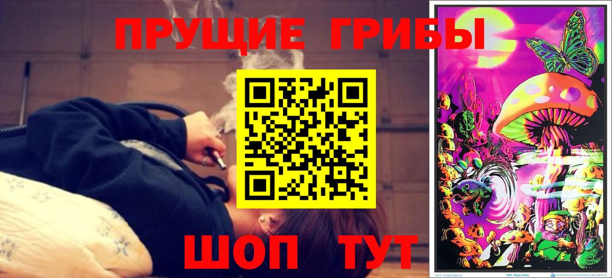 Псилоцибиновые грибы GOLDEN TEACHER  Рассказово 