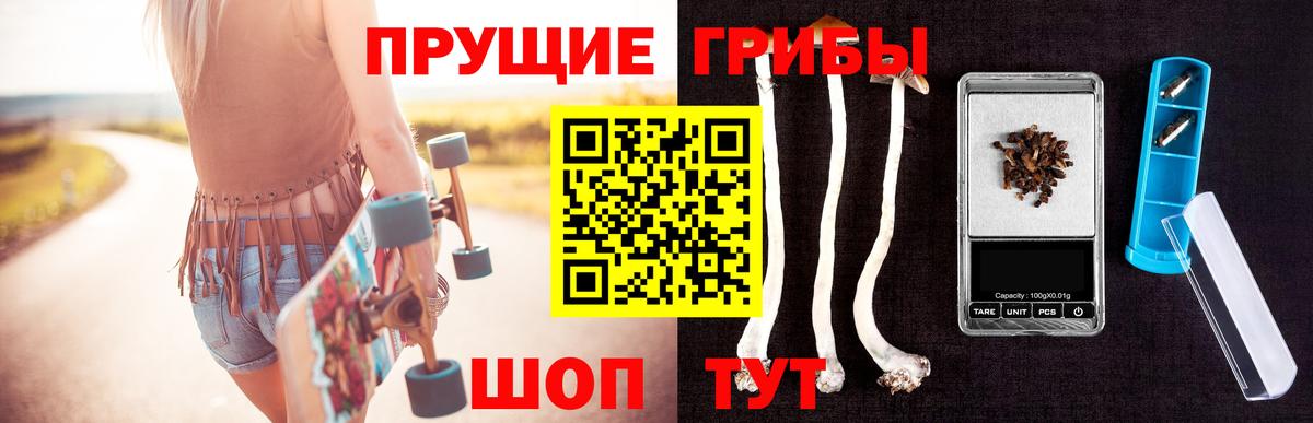 Галлюциногенные грибы MAGIC MUSHROOMS  Вход с VPN  Рассказово  где найти наркотики  Псилоцибиновые грибы Psilocybe 